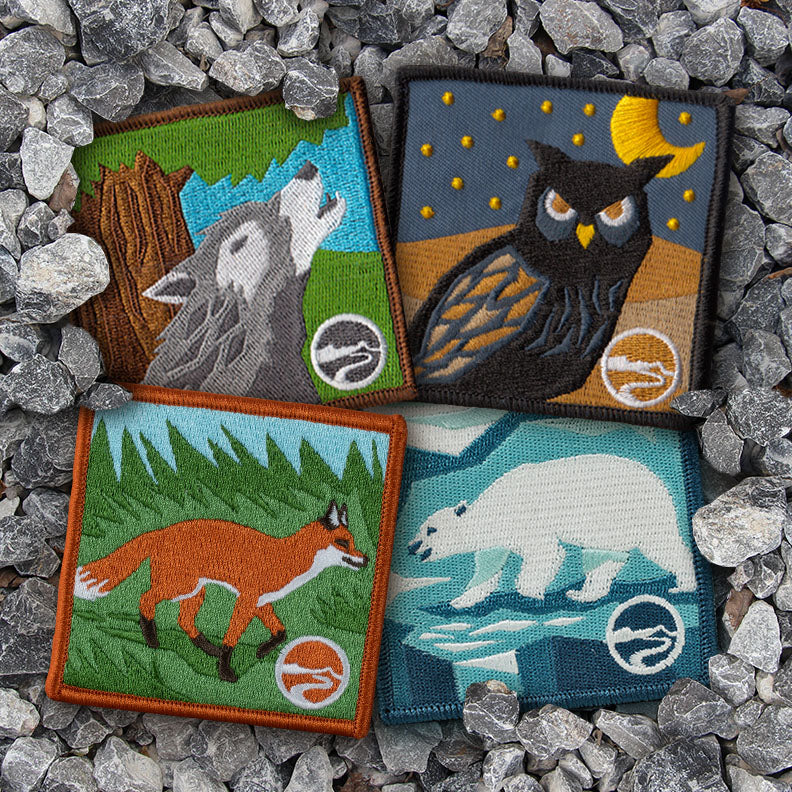 Biome patches outside, displayed on gravel