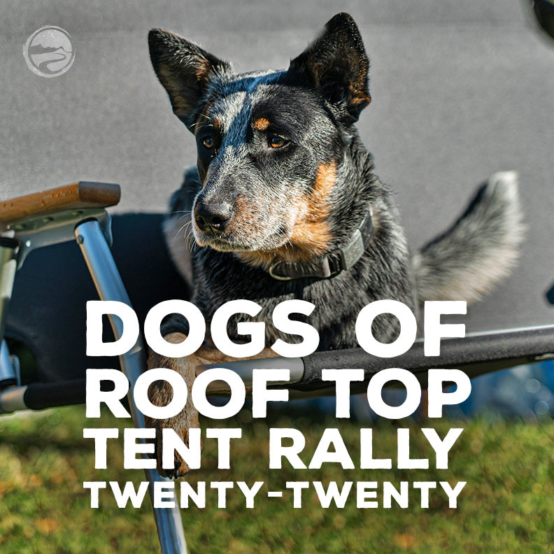 Dogs of Roof Top Tent Rally 2020