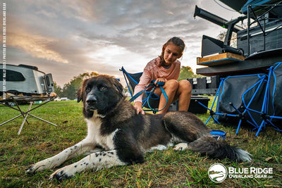 Dogs of RTTR 2021
