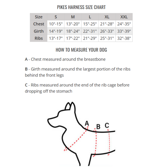 Pikes Harness | Peak by Ray Allen
