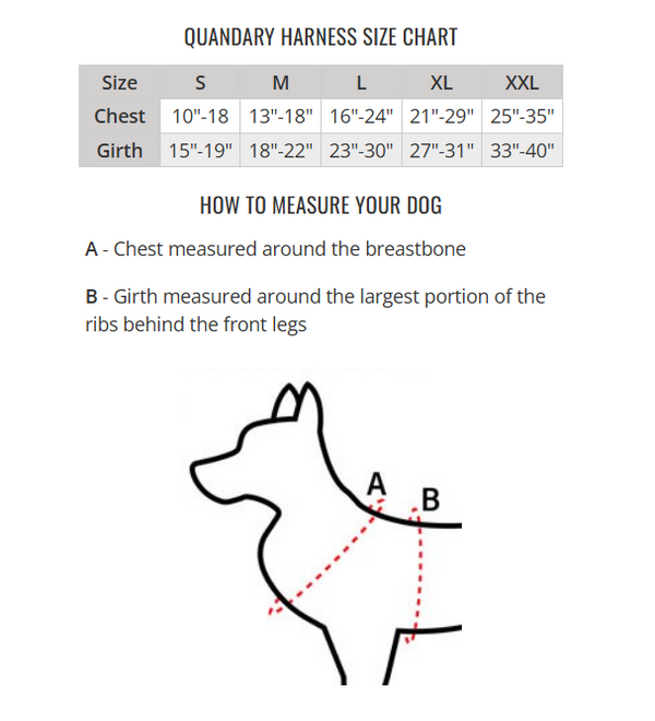 Quandary Harness | Peak by Ray Allen