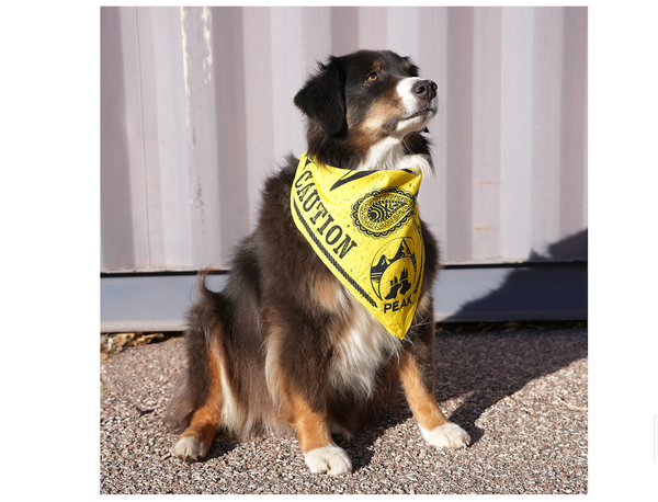 Boundary Bandana | Peak by Ray Allen