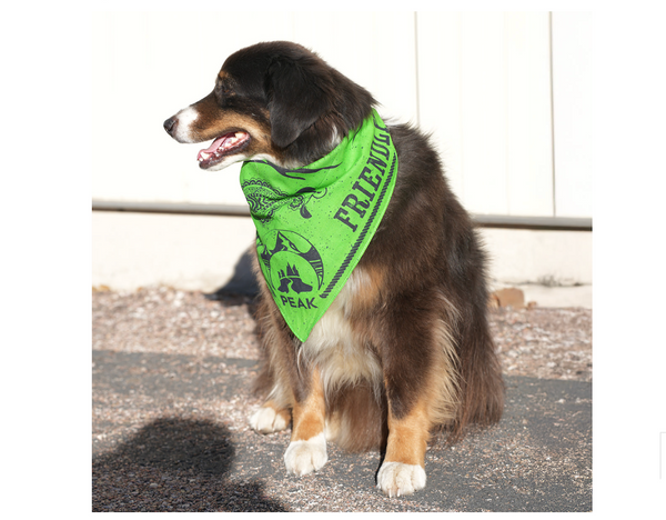 Boundary Bandana | Peak by Ray Allen