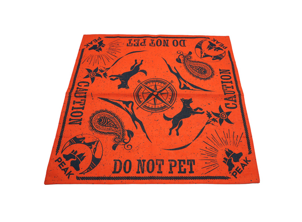 Boundary Bandana | Peak by Ray Allen