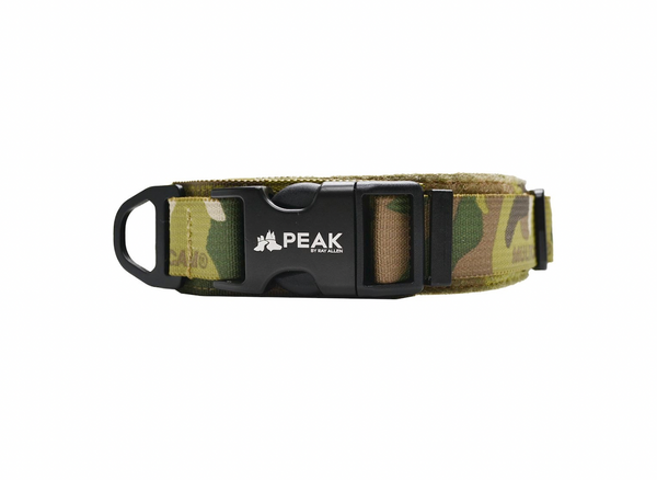 Palmer Collar | Peak by Ray Allen
