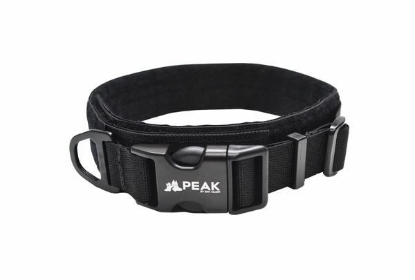 Palmer Collar | Peak by Ray Allen