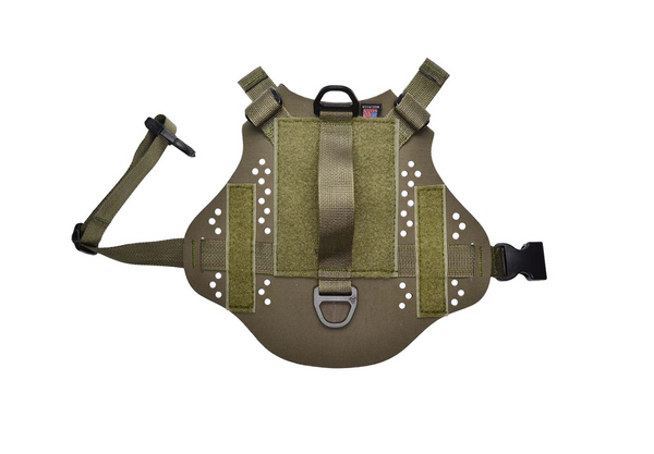 Quandary Harness | Peak by Ray Allen