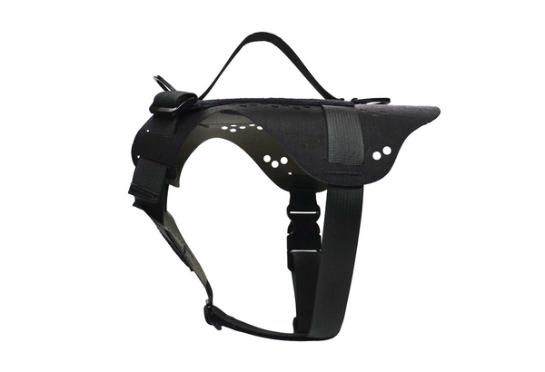 Quandary Harness | Peak by Ray Allen