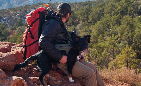 Pikes Harness | Peak by Ray Allen