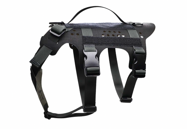 Pikes Harness | Peak by Ray Allen