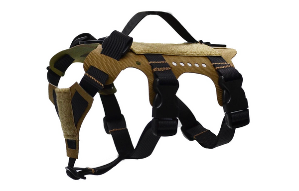 Pikes Harness | Peak by Ray Allen