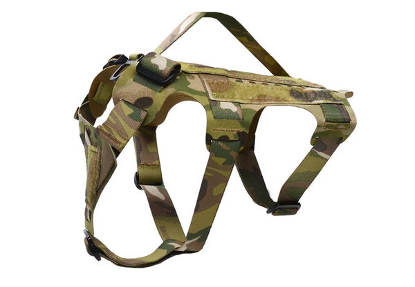 Pikes Harness | Peak by Ray Allen