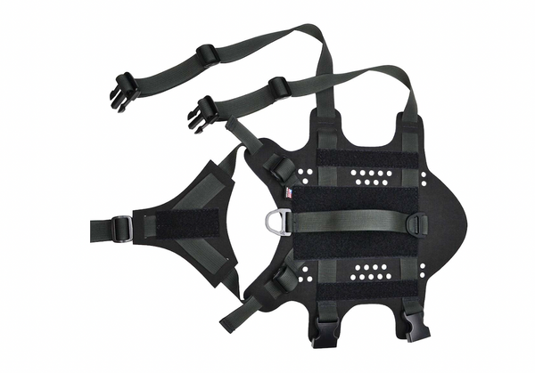 Pikes Harness | Peak by Ray Allen