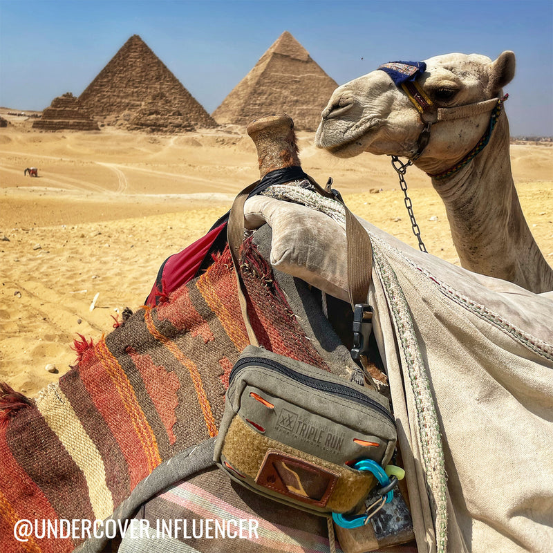BROG Bum Bag on camel saddle with camel head peeking over and pyramids in back