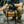BROG Tool Pouch Roll opened across a vehicle engine bay with removable clear zippered pouches and assorted hand tools laid out for easy access.