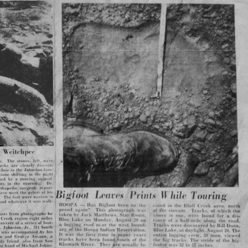 Bigfoot news article on old black and white newspaper