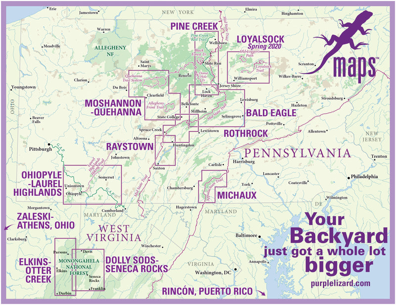 Bald Eagle Lizard Map, Pennsylvania