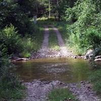 Elkins-Otter Lizard Map, West Virginia