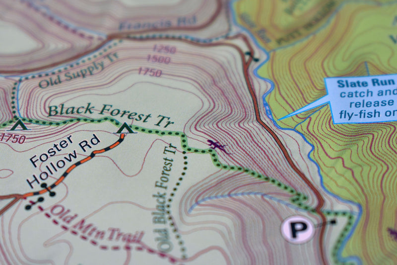 Pine Creek Lizard Map - Grand Canyon of Pennsylvania
