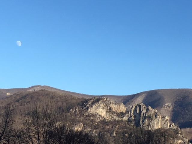 Dolly Sods - Seneca Rocks Lizard Map, West Virginia