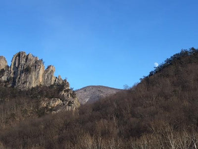 Dolly Sods - Seneca Rocks Lizard Map, West Virginia