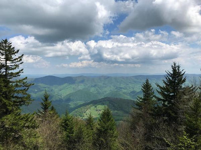Dolly Sods - Seneca Rocks Lizard Map, West Virginia