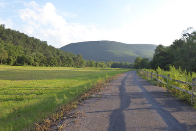 Pine Creek Lizard Map - Grand Canyon of Pennsylvania