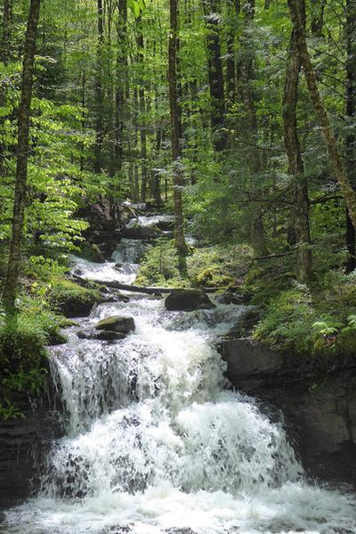 Dolly Sods - Seneca Rocks Lizard Map, West Virginia