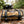 Coyote BROG Tool Pouch Roll secured with buckle straps on a wet, muddy off-road trail, with an overland vehicle in the background.
